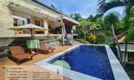 Luxury Villa Full Furnished Cantik View Sungai dan Sawah di Bali