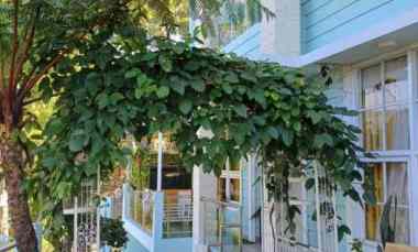 dijual villa dago giri bandung