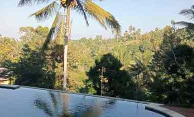 dijual villa eksklusif view sawah yang asri