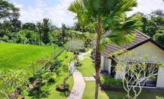 GRY 253- Dijual Villa View Sawah di Kawasan Ubud Gianyar Bali
