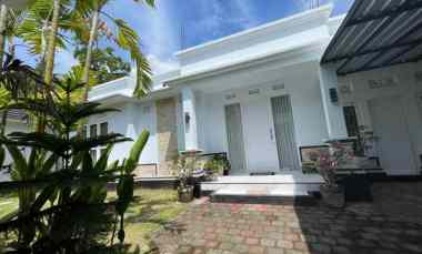 dijual villa lovina kalibukbuk village