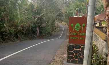 dijual villa menawan view sawah dan sungai yang indah