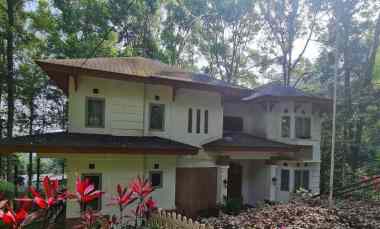 dijual villa puncak