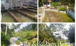 Vila dan Kolam Ikan Air Deras, Daerah Cijambe Subang Jawa Barat