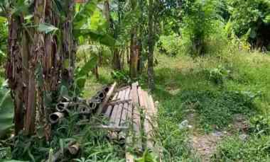 dikontrakan 2 1 are jl raya semer kerobokan kuta utara