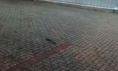 disewakan gudang lokasi jgc cocok untuk stok makanan