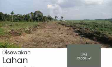 disewakan lahan kapuk raya