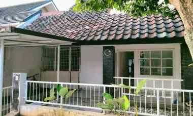 disewakan rumah bsd anggrek loka