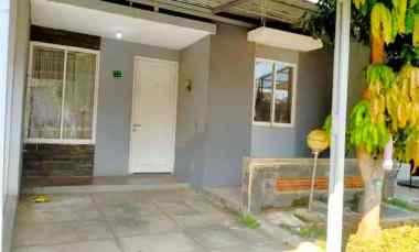 disewakan rumah jl serpong garden 2