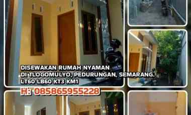 disewakan rumah tlogomulyo pedurungan semarang