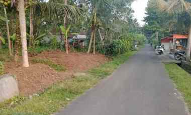 disewakan tanah 43 are di mengwi badung bali