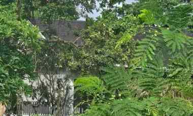 disewakan tanah buluh indah