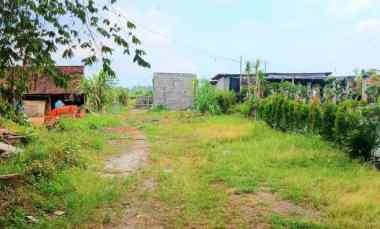 disewakan tanah di darmasaba abiansemal badung bali