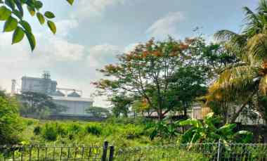 Disewakan Tanah di Kawasan Industri Pier Pasuruan