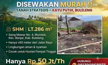 disewakan tanah gang mawar no 4 munduk kec