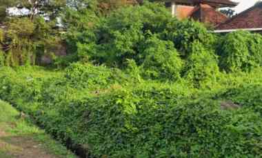 disewakan tanah gatsu tengah