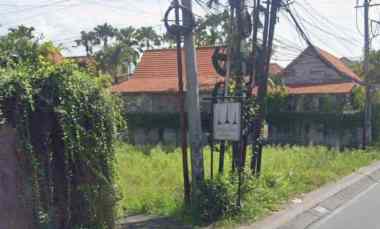 Disewakan 32,5 are, jl. Subak Sari Berawa Canggu Kuta Utara
