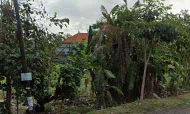 disewakan tanah kesiman petilan