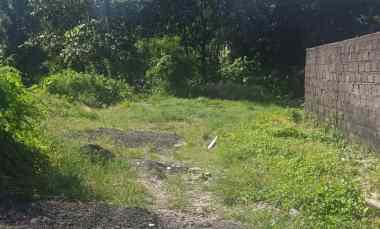 disewakan tanah padangsambian klod