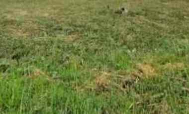 Pakuwon Square, Lahan Usaha, Hadap Timur, PPJB Maksimal 10thn