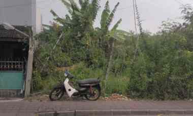 Disewakan 27,6 are, jl. Pantai Batu Bolong Kayu Tulang Selatan Canggu
