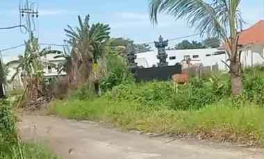 disewakan tanah pantai seseh munggu