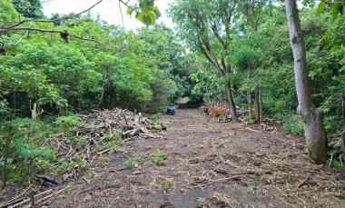 disewakan tanah pecatu badung bali