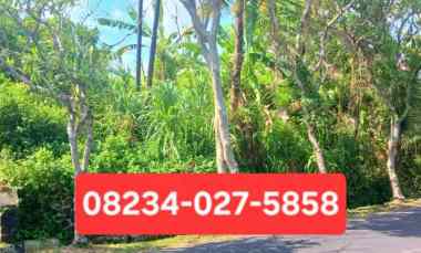 Tanah Kontrak 6 are Penatih Denpasar dekat jl Cekomaria,Padma,Jagapati