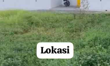 disewakan tanah seseh