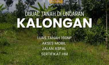 Diual Tanah di Kalongan Ungaran Timur