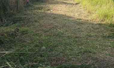 djual tanah medokan lebar jalan row 6 meter surabaya