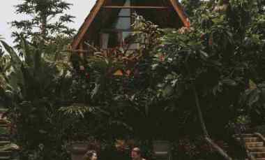 eco resort view sungai dan jungle di bali