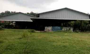 Ex Pabrik Pupuk NPK, TPS, Organik