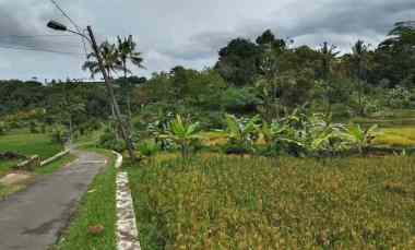 for sale tanah sawah dekat sungai jalan cagak subang