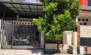 green semanggi mangrove siap huni full kanopi