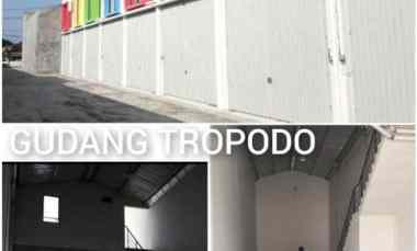 gudang disewakan di area tropodo waru