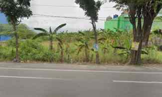 Tanah Dijual di Jalan Raya Pungging Mojosari