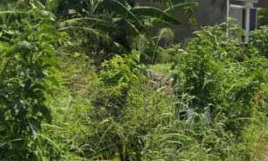 Jual Cepat Tanah 121m Buah Batu Bandung