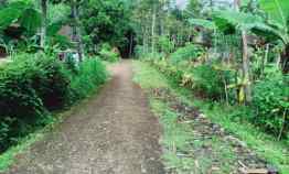 Tanah Dijual di Karangpandan, Karanganyar, Jawa Tengah