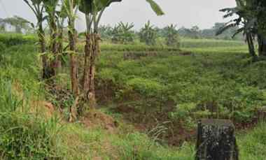 jual cepat tanah datar pinggir jalan di dramaga bogor