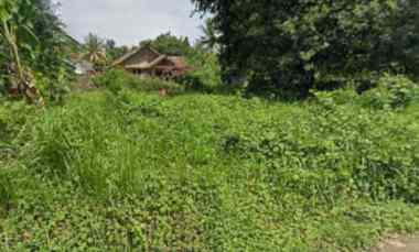 Jual Cepat Tanah di Tembong