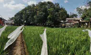 jual cepat tanah karawang barat shm