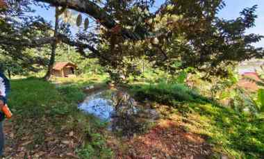 jual cepat tanah kebun durian 5 ha di leuwiliang bogor