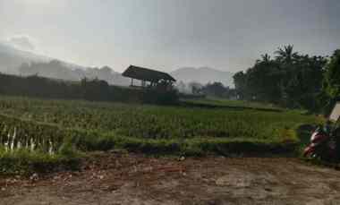jual cepat tanah sawah cimanggung sumedang