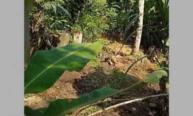 jual investasi tanah terasering