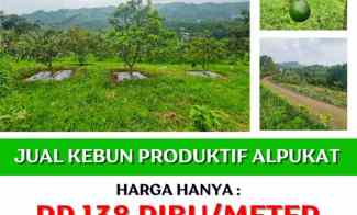 Tanah Dijual di Bandung, Lembang, Cikalong wetan, Ciwidey, Pangalengan