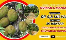 jual kebun duiran di bogor