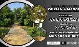 jual kebun durian di bogor