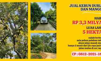 Jual Kebun Durian di Bogor