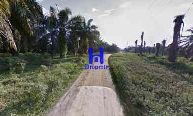 jual kebun sawit daerah gohor lama kec wampu langkat